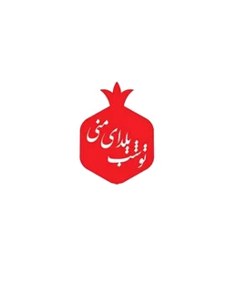 استیمر چوبی یلدا طرح انار